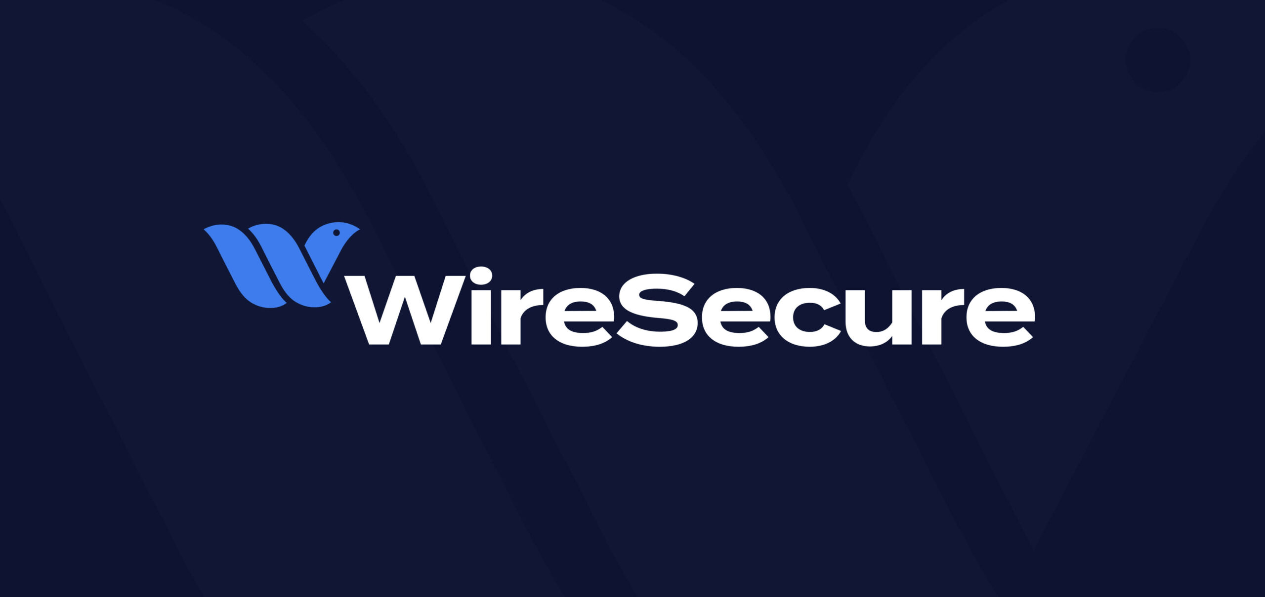 WireSecure Logo