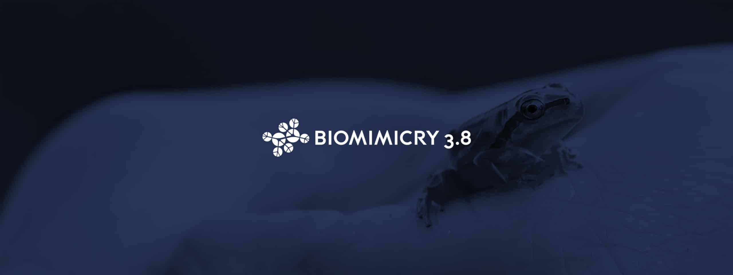 Biomimicry 3.8 logo and hero