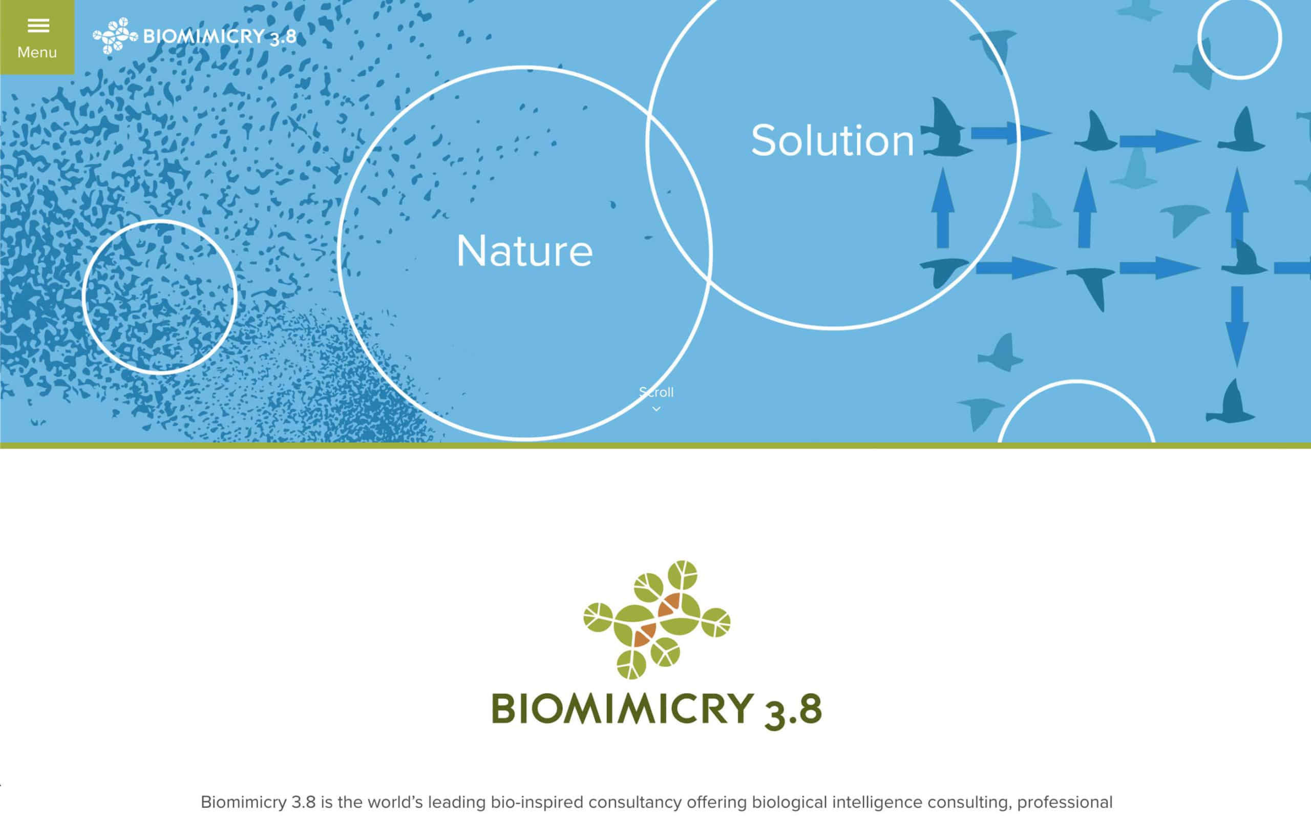 Biomimicry Website Homepage Screenshot