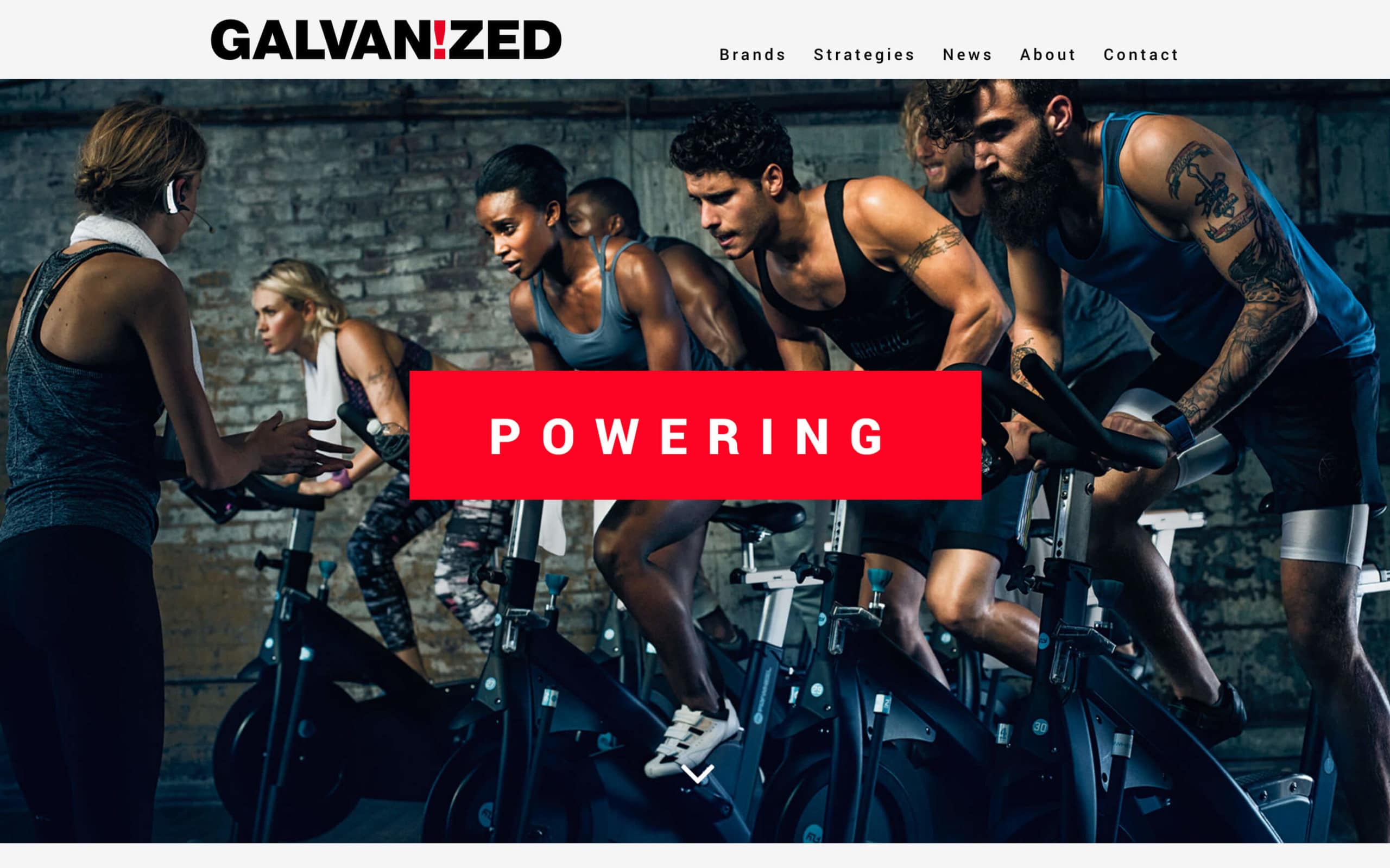 Galvanized Website Screenshot