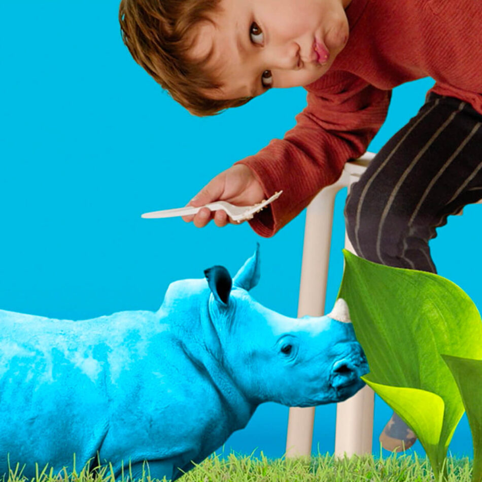 Haven Life whimsical photo of boy and rhino