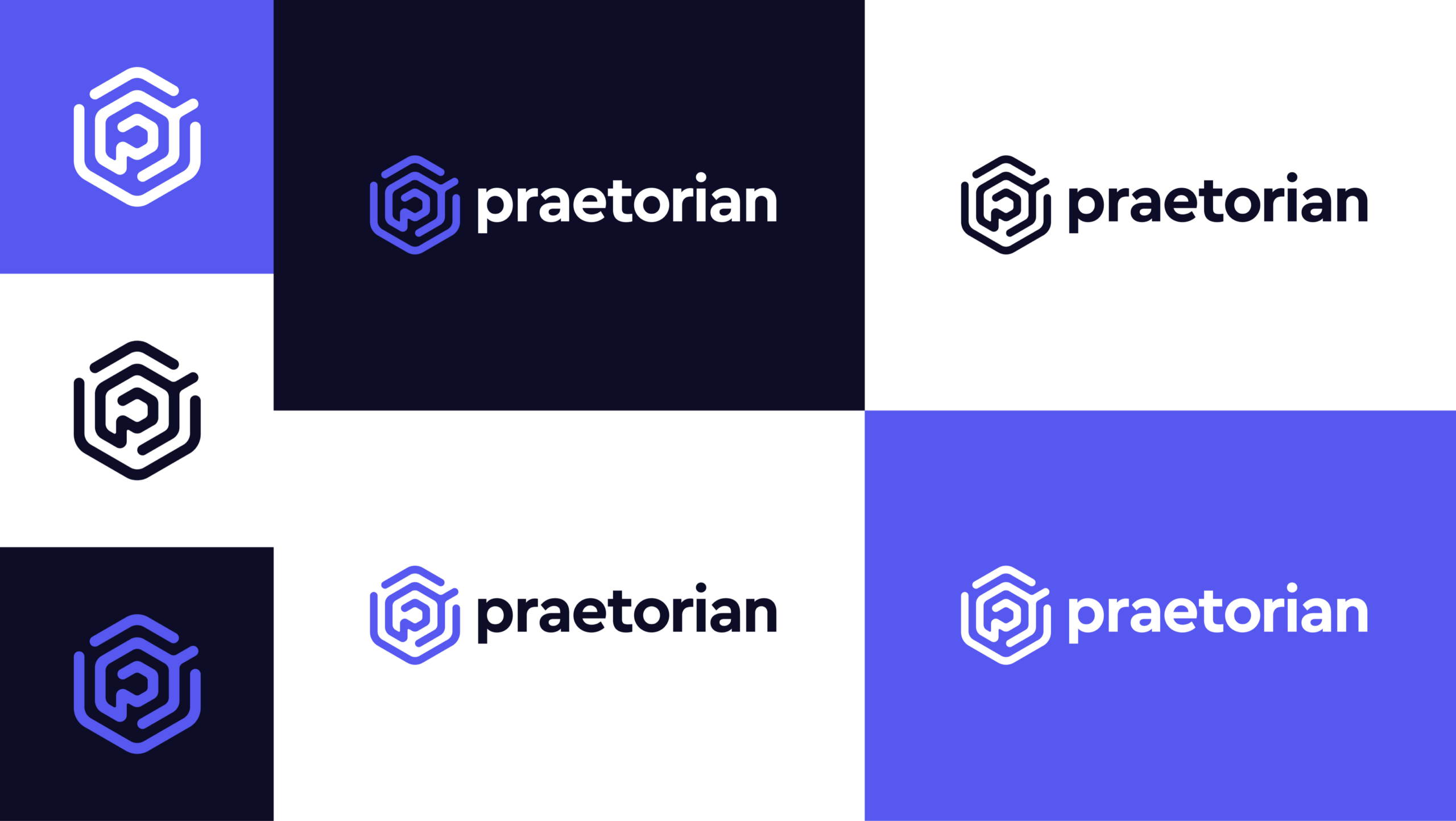 Praetorian Full Logo and Color Palette