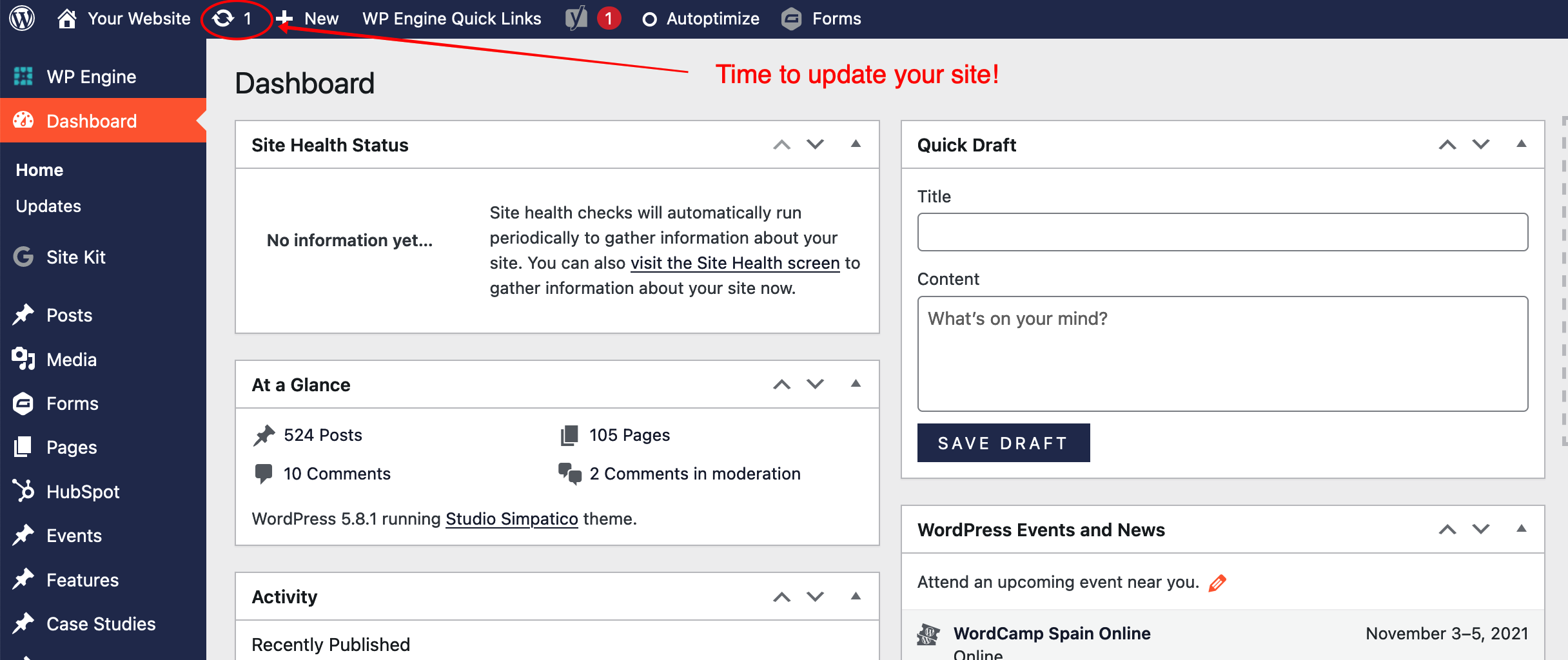 Screenshot of a WordPress Admin UI with the update panel circled