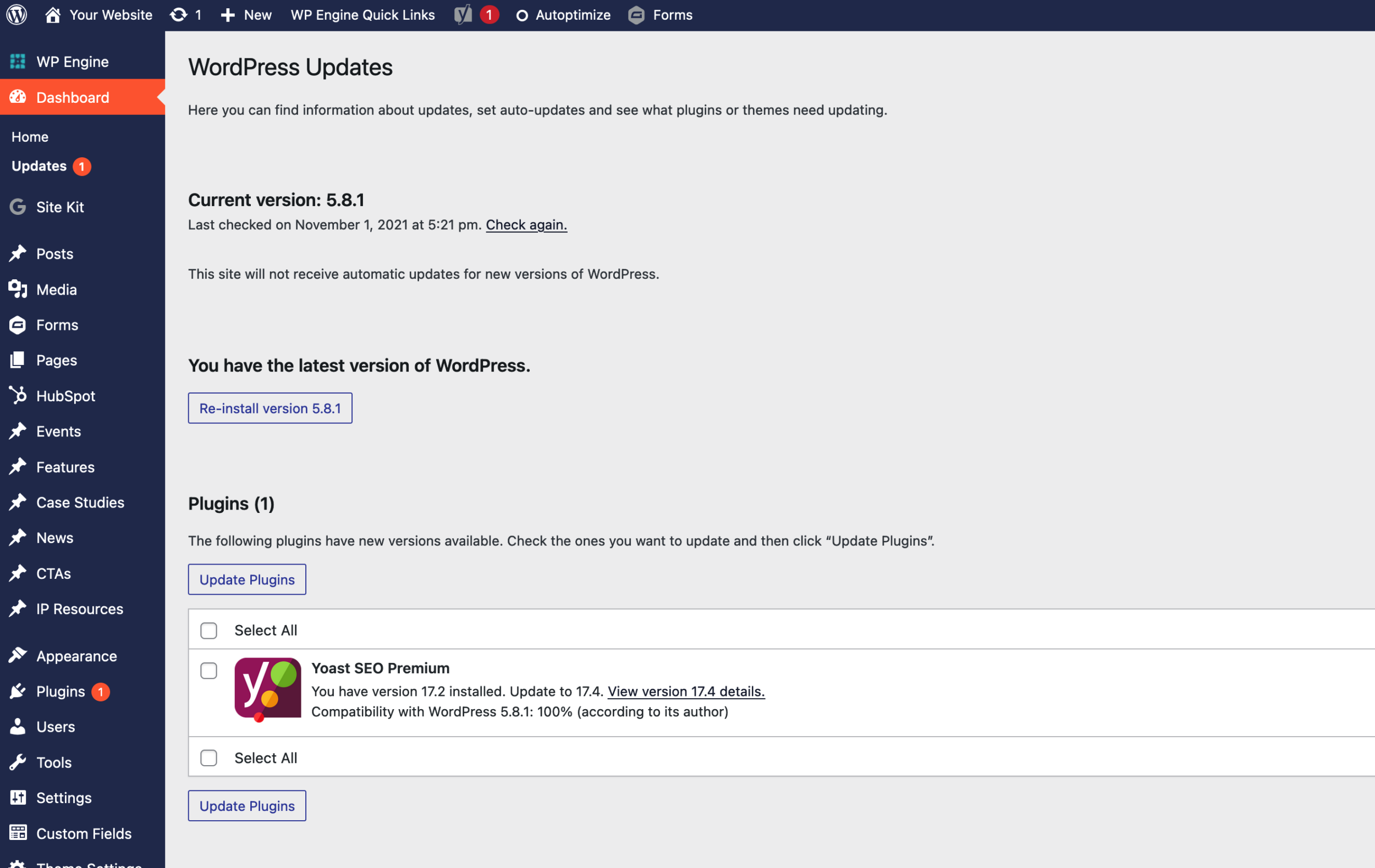 Screenshot of the WP update page showing an available plugin update
