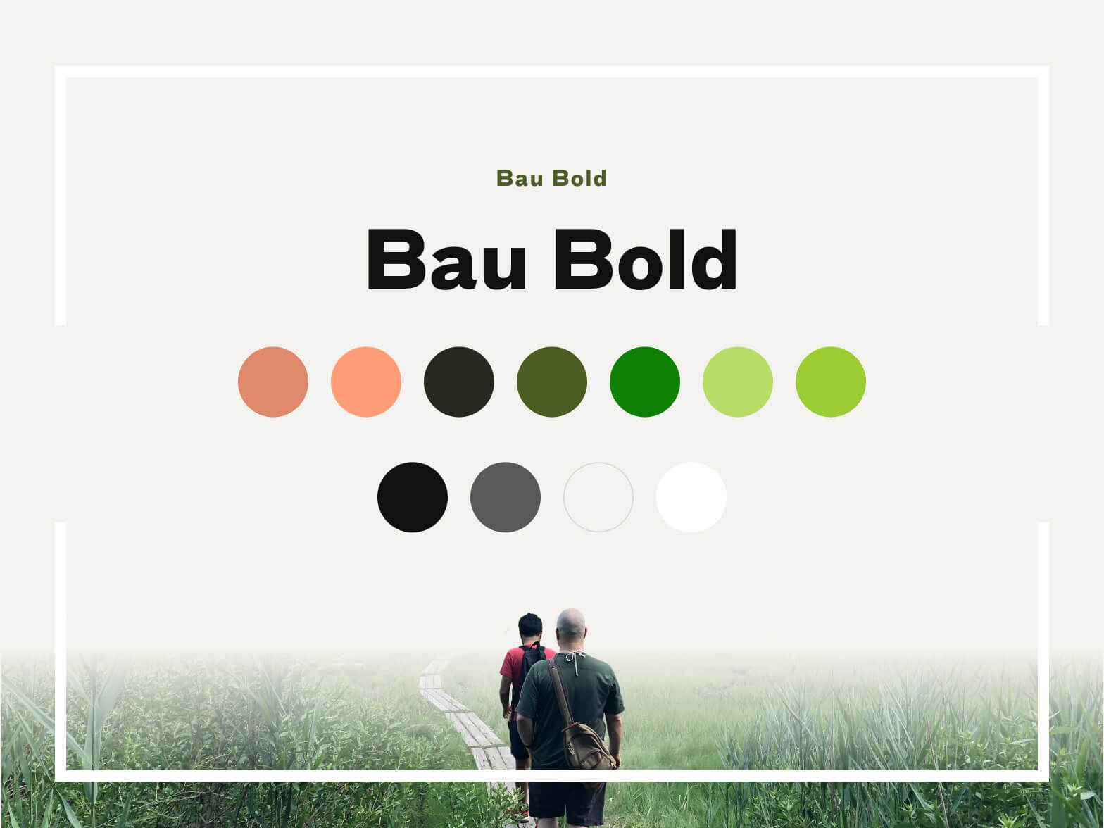 Natural Areas Conservancy color palette and typography
