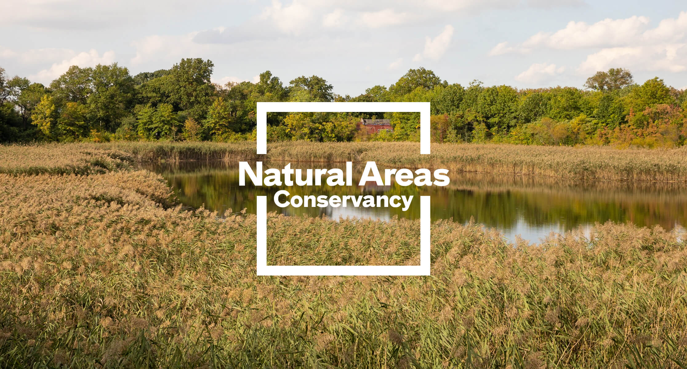 NAC logo on landscape