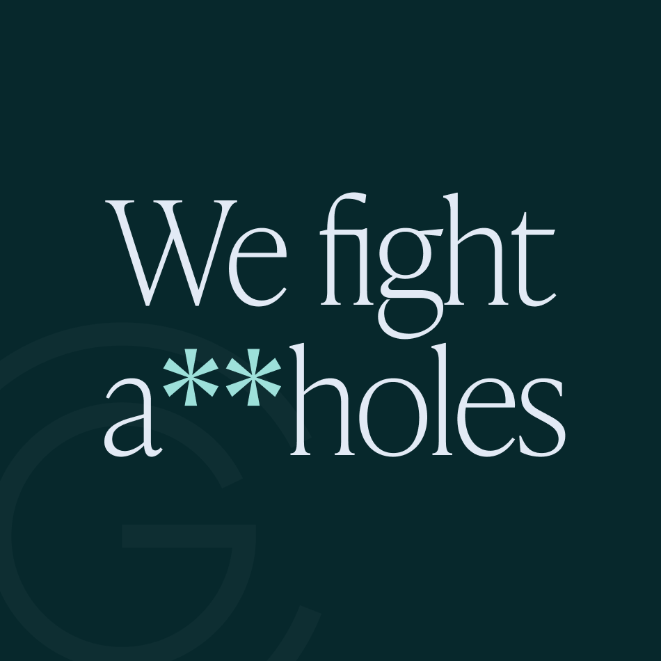 We fight a**holes - project thumbnail